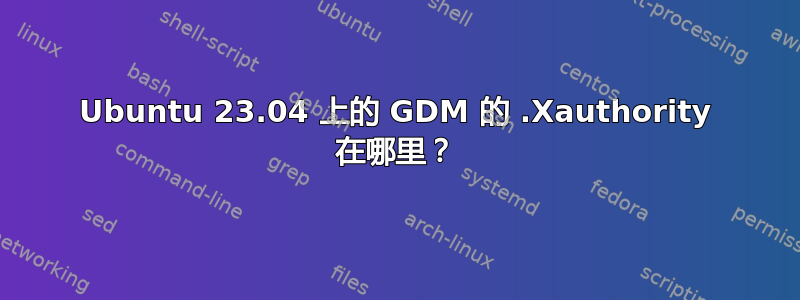 Ubuntu 23.04 上的 GDM 的 .Xauthority 在哪里？