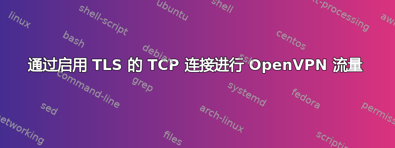 通过启用 TLS 的 TCP 连接进行 OpenVPN 流量