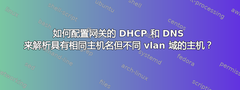 如何配置网关的 DHCP 和 DNS 来解析具有相同主机名但不同 vlan 域的主机？