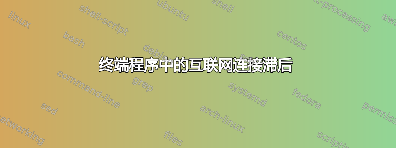 终端程序中的互联网连接滞后