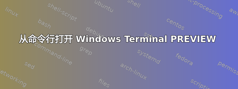 从命令行打开 Windows Terminal PREVIEW