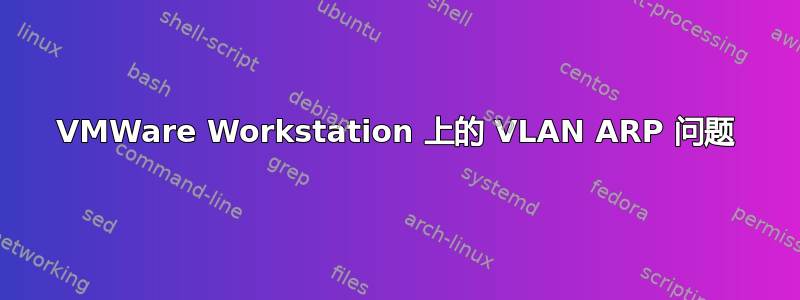 VMWare Workstation 上的 VLAN ARP 问题