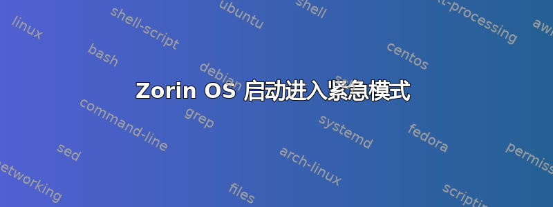 Zorin OS 启动进入紧急模式