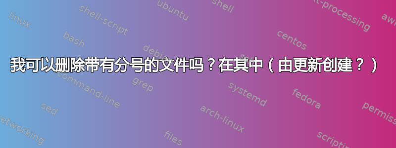 我可以删除带有分号的文件吗？在其中（由更新创建？）