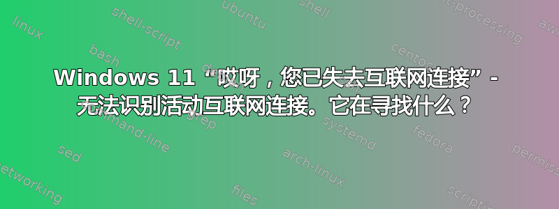 Windows 11 “哎呀，您已失去互联网连接” - 无法识别活动互联网连接。它在寻找什么？