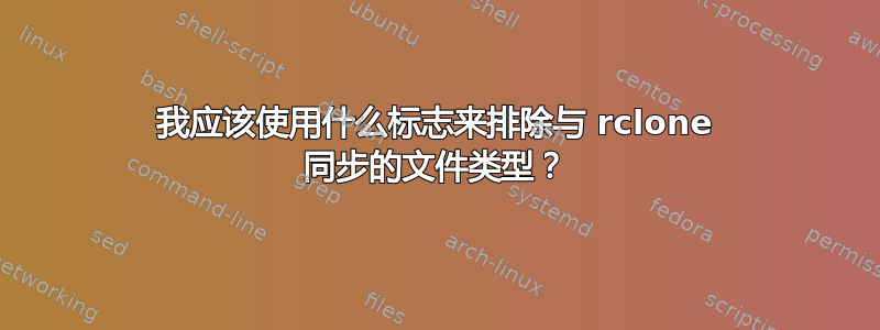 我应该使用什么标志来排除与 rclone 同步的文件类型？