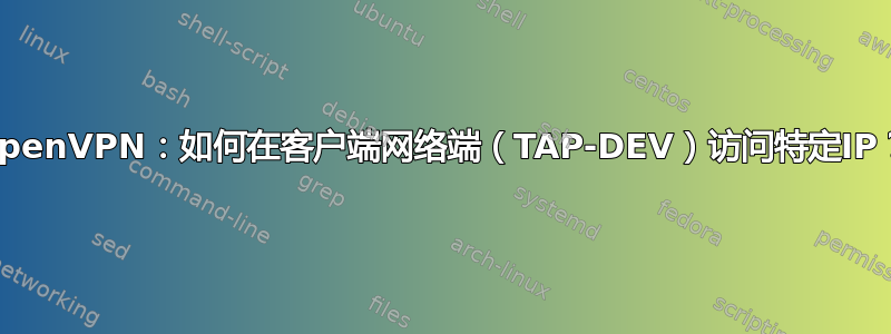 OpenVPN：如何在客户端网络端（TAP-DEV）访问特定IP？