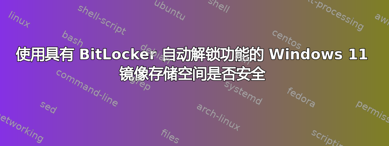 使用具有 BitLocker 自动解锁功能的 Windows 11 镜像存储空间是否安全