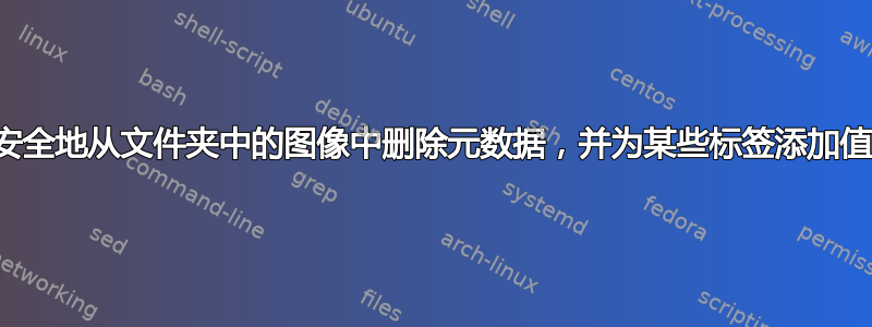 安全地从文件夹中的图像中删除元数据，并为某些标签添加值