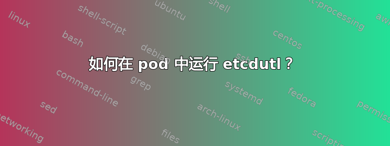 如何在 pod 中运行 etcdutl？