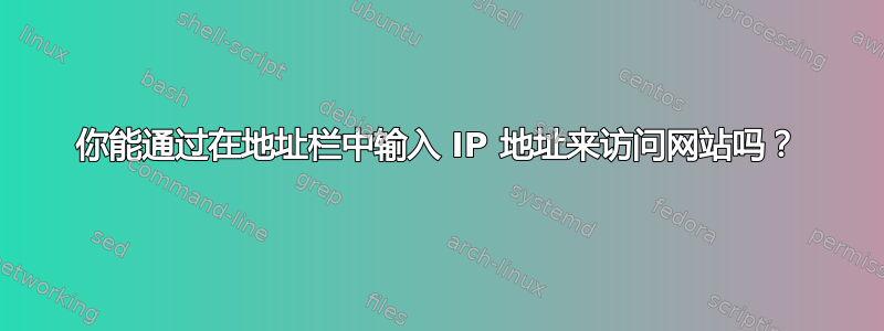 你能通过在地址栏中输入 IP 地址来访问网站吗？