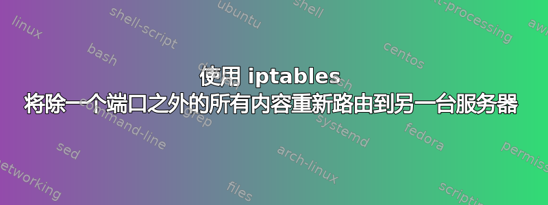 使用 iptables 将除一个端口之外的所有内容重新路由到另一台服务器