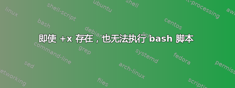 即使 +x 存在，也无法执行 bash 脚本