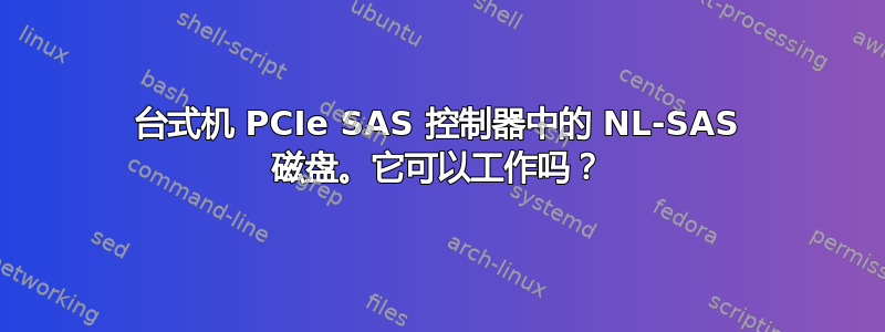 台式机 PCIe SAS 控制器中的 NL-SAS 磁盘。它可以工作吗？