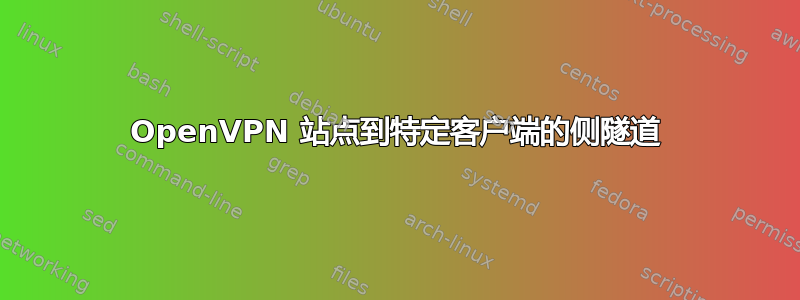 OpenVPN 站点到特定客户端的侧隧道