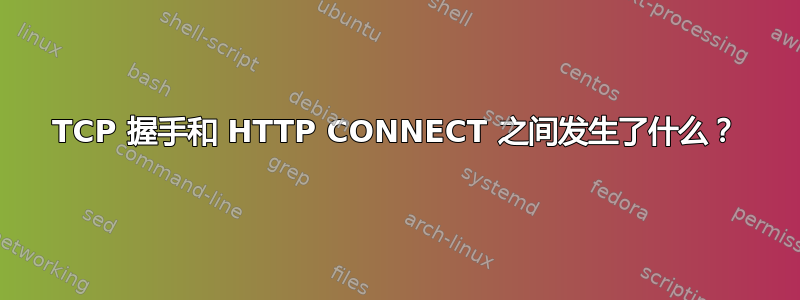 TCP 握手和 HTTP CONNECT 之间发生了什么？