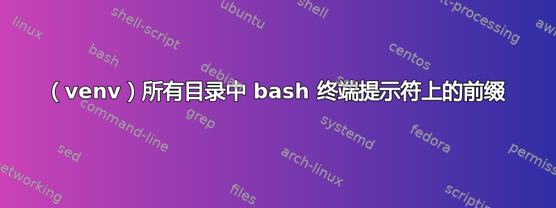 （venv）所有目录中 bash 终端提示符上的前缀