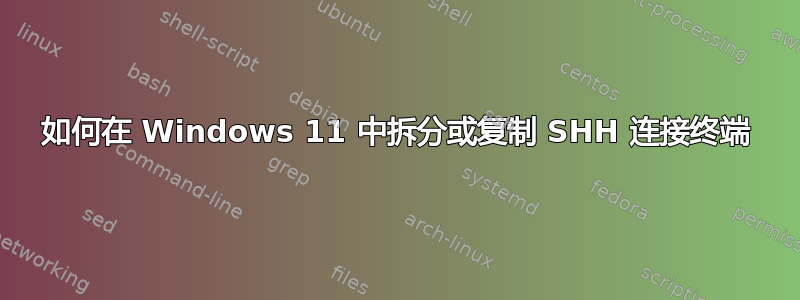 如何在 Windows 11 中拆分或复制 SHH 连接终端