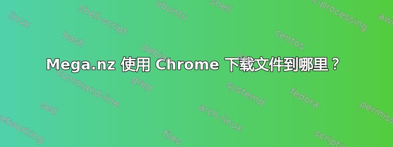 Mega.nz 使用 Chrome 下载文件到哪里？