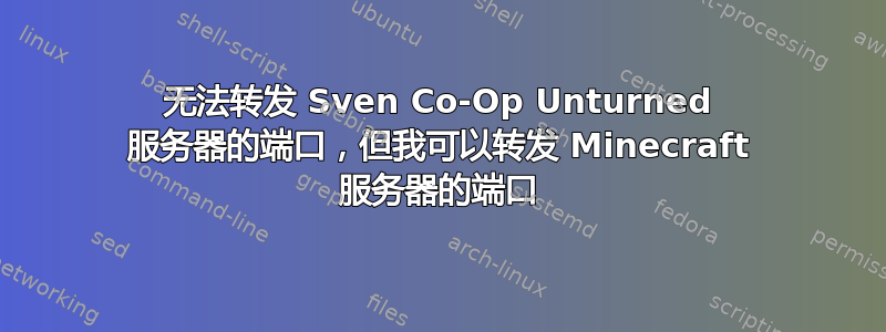 无法转发 Sven Co-Op Unturned 服务器的端口，但我可以转发 Minecraft 服务器的端口