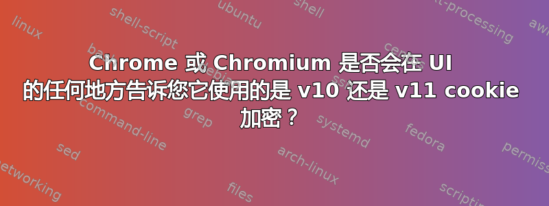 Chrome 或 Chromium 是否会在 UI 的任何地方告诉您它使用的是 v10 还是 v11 cookie 加密？