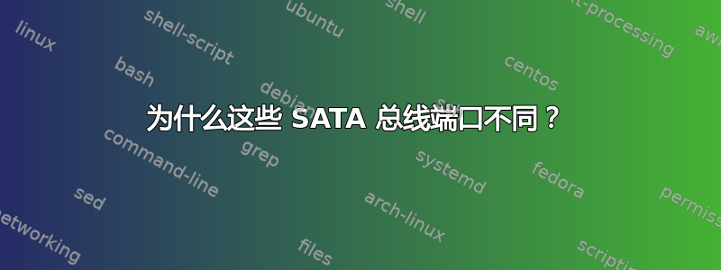 为什么这些 SATA 总线端口不同？