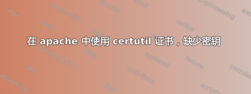 在 apache 中使用 certutil 证书，缺少密钥