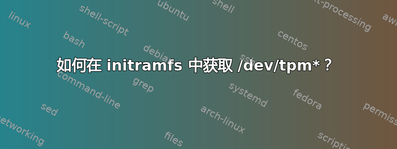 如何在 initramfs 中获取 /dev/tpm*？