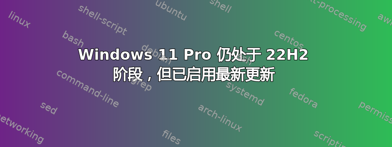 Windows 11 Pro 仍处于 22H2 阶段，但已启用最新更新