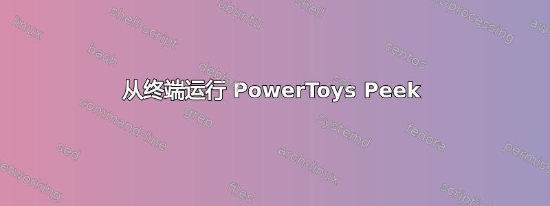 从终端运行 PowerToys Peek