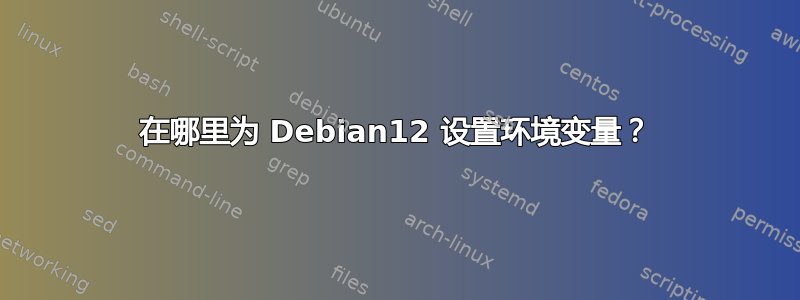 在哪里为 Debian12 设置环境变量？