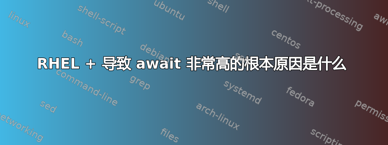 RHEL + 导致 await 非常高的根本原因是什么