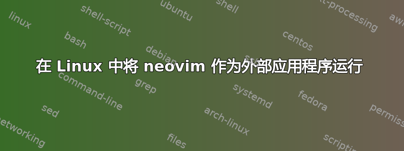 在 Linux 中将 neovim 作为外部应用程序运行