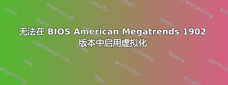 无法在 BIOS American Megatrends 1902 版本中启用虚拟化