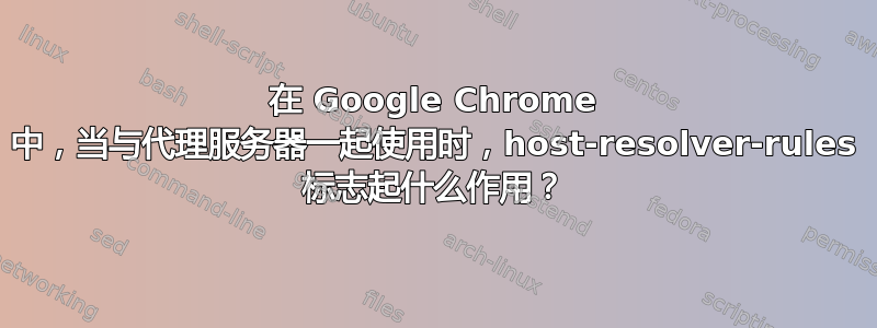 在 Google Chrome 中，当与代理服务器一起使用时，host-resolver-rules 标志起什么作用？