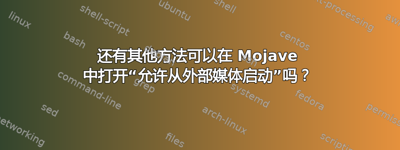 还有其他方法可以在 Mojave 中打开“允许从外部媒体启动”吗？