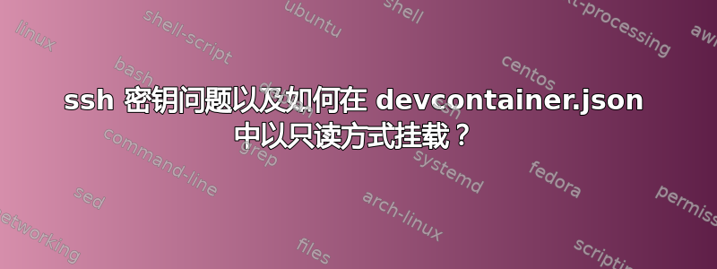 ssh 密钥问题以及如何在 devcontainer.json 中以只读方式挂载？