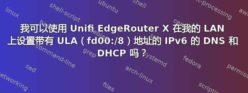 我可以使用 Unifi EdgeRouter X 在我的 LAN 上设置带有 ULA（fd00:/8）地址的 IPv6 的 DNS 和 DHCP 吗？