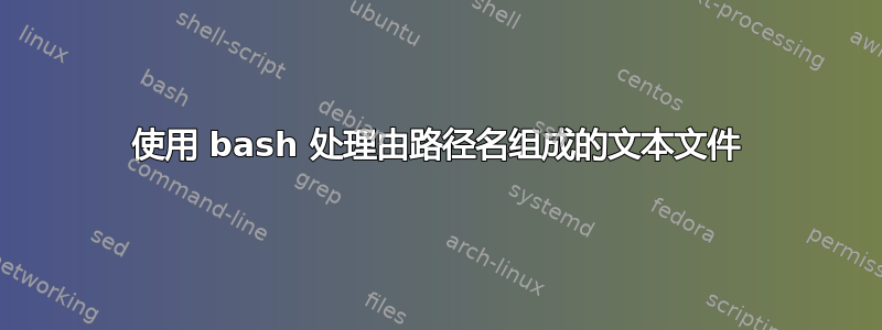 使用 bash 处理由路径名组成的文本文件