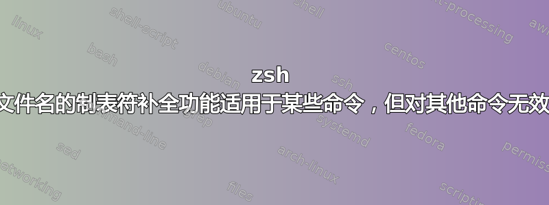 zsh 文件名的制表符补全功能适用于某些命令，但对其他命令无效