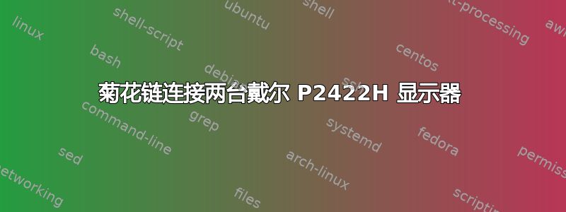 菊花链连接两台戴尔 P2422H 显示器