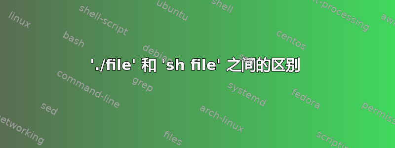 './file' 和 'sh file' 之间的区别