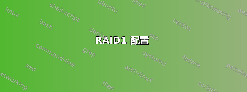 RAID1 配置