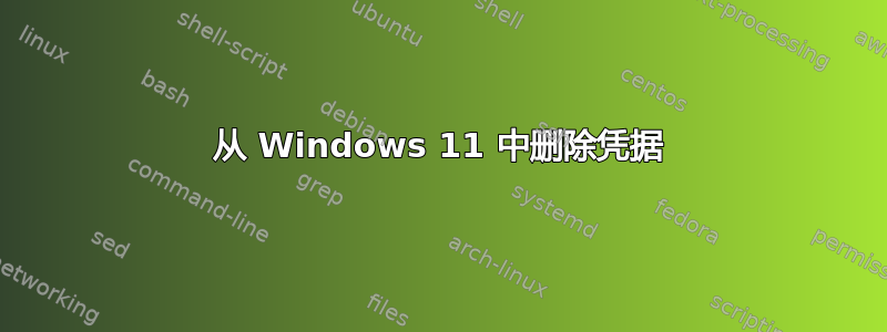 从 Windows 11 中删除凭据