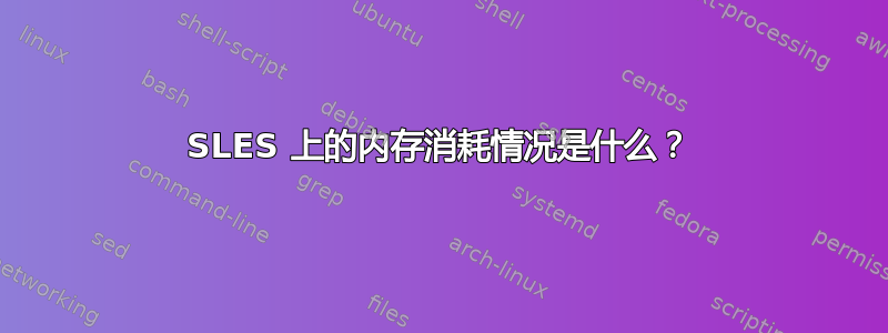 SLES 上的内存消耗情况是什么？