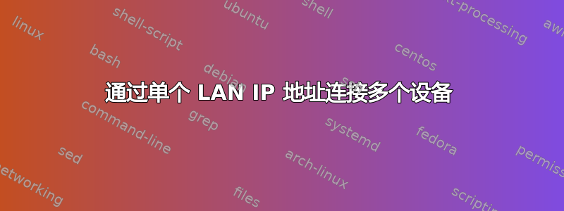 通过单个 LAN IP 地址连接多个设备