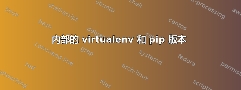 内部的 virtualenv 和 pip 版本