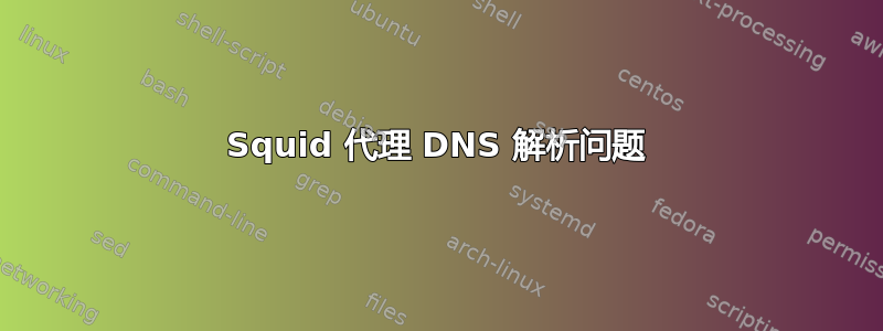 Squid 代理 DNS 解析问题