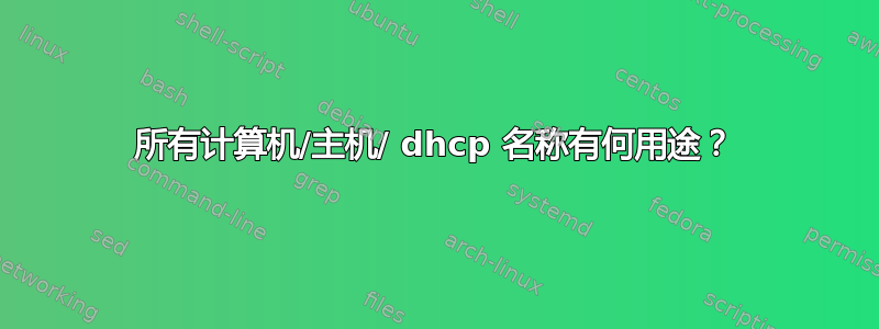 所有计算机/主机/ dhcp 名称有何用途？