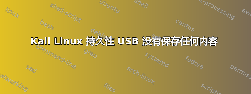 Kali Linux 持久性 USB 没有保存任何内容